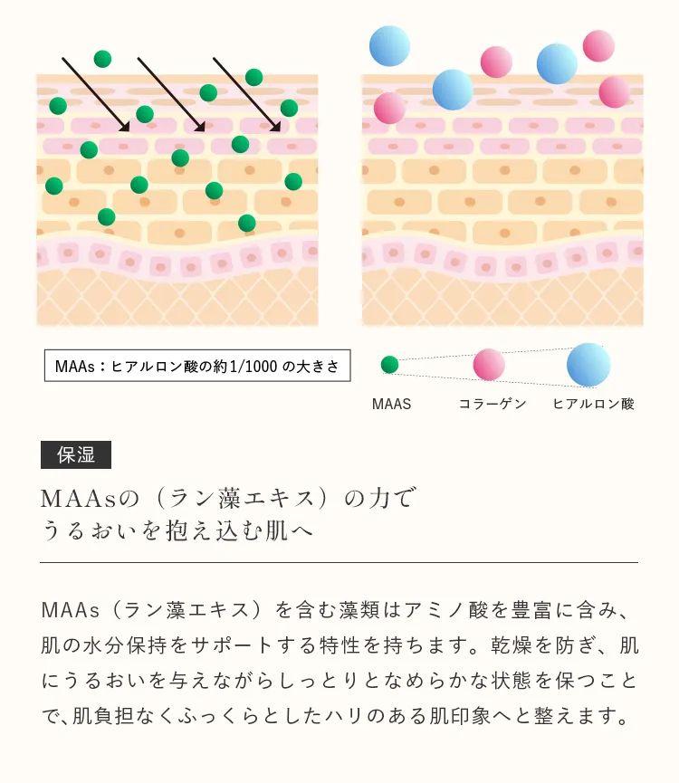 MAAs（ラン藻エキス）が肌にうるおいを与え乾燥を防ぐ保湿ケア